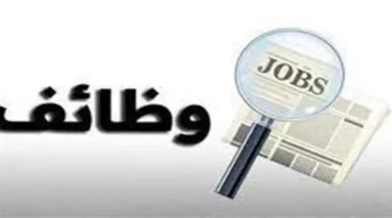 أبريل المقبل.. شروط القبول في وظائف المدرسة المصرية الدولية لعام 2026 وأبرز التخصصات